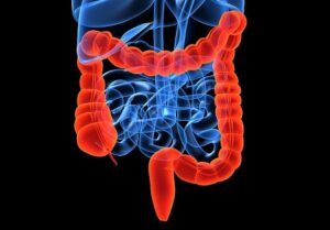 But..What About The Gut ?