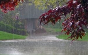 During The Monsoons