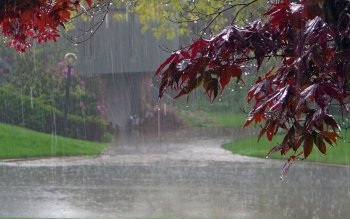 During The Monsoons